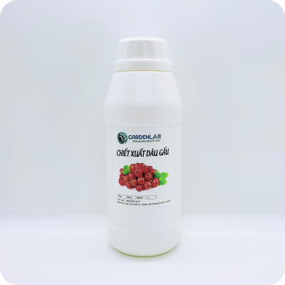CHIẾT XUẤT DÂU GẤU